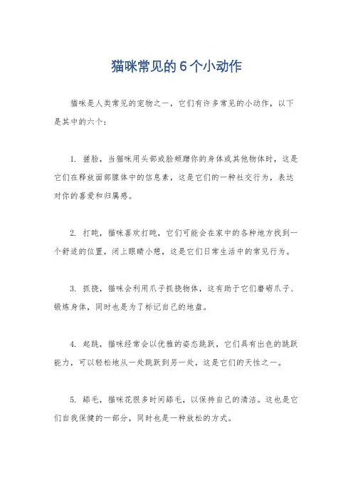 猫咪常见的6个小动作