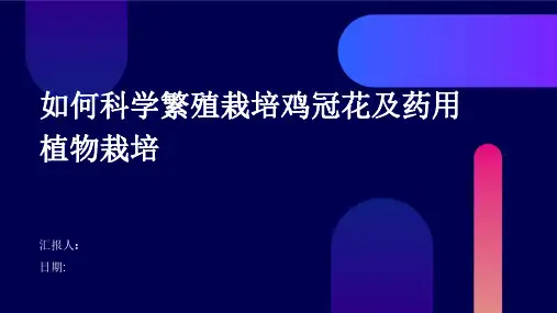 如何科学繁殖栽培鸡冠花及药用植物栽培