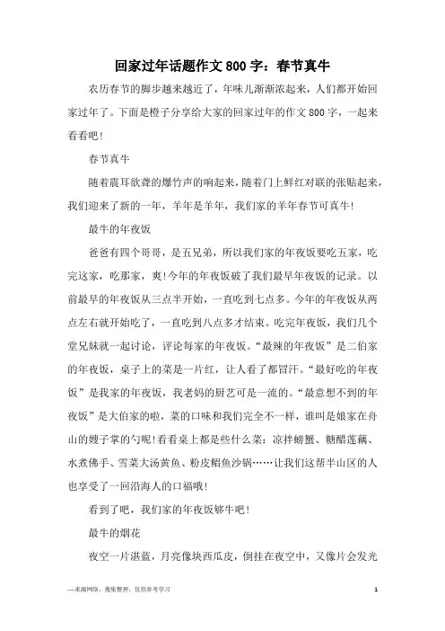 回家过年话题作文800字：春节真牛