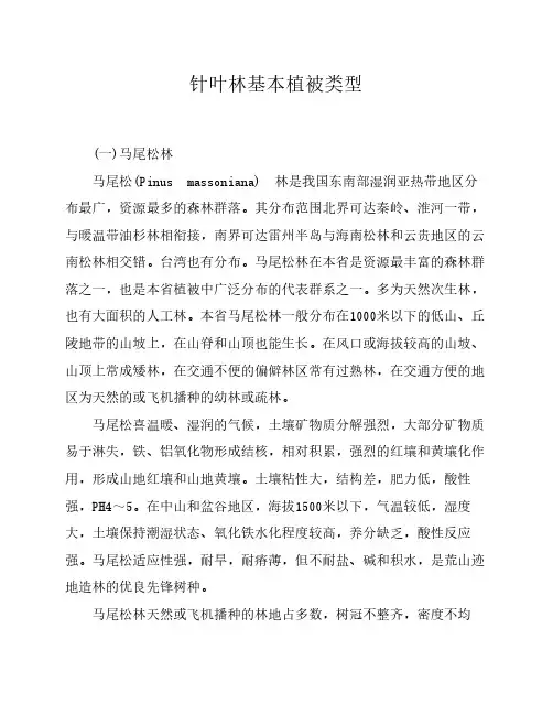 福建针叶林基本植被类型