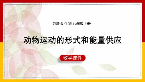 初中生物苏教版八年级上册《5.17.1动物运动的形式和能量供应》课件(完美版)
