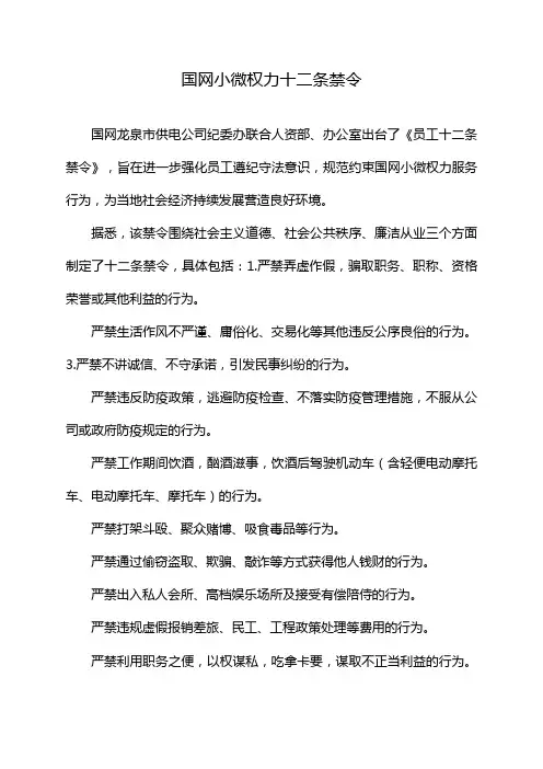 国网小微权力十二条禁令