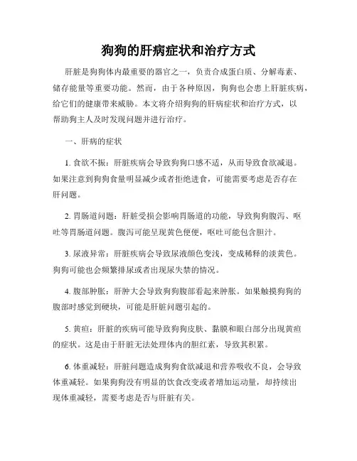 狗狗的肝病症状和治疗方式