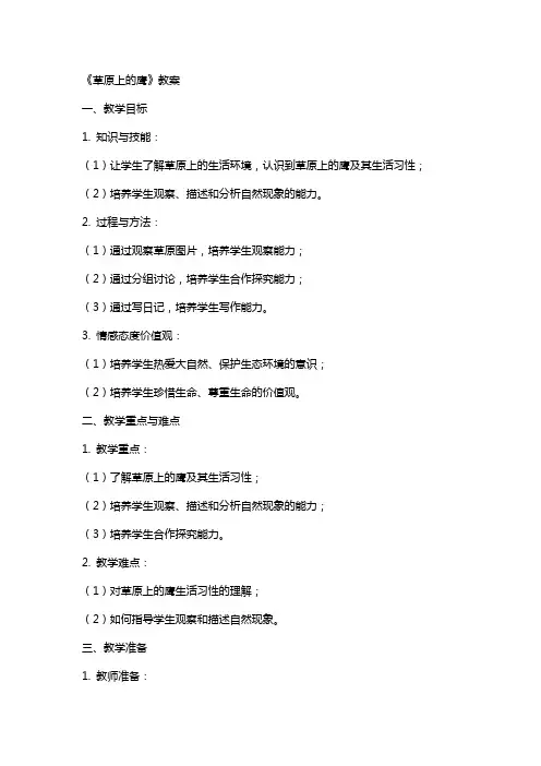 《草原上的鹰》教案