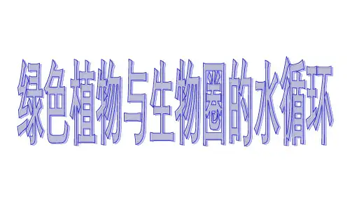人教版七年级生物上册.绿色植物与生物圈的水循环  课件   