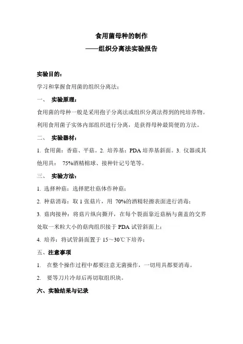 食用菌组织分离法实验报告