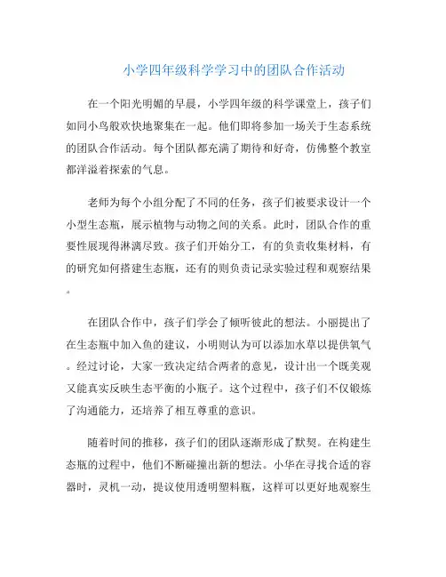 小学四年级科学学习中的团队合作活动