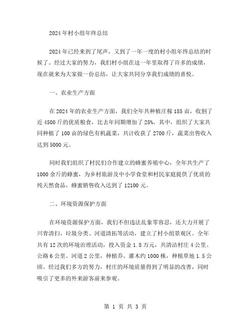 2024年村小组年终总结范文