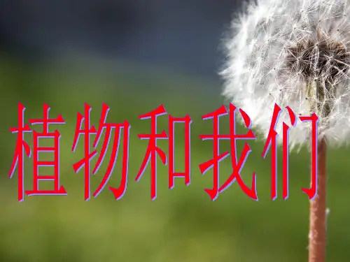 一年级下册科学植物和我们湘科版