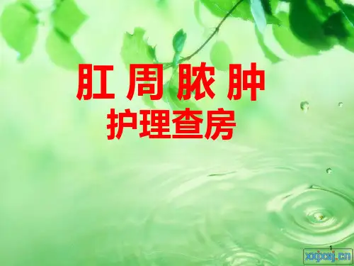 肛周脓肿护理查房PPT幻灯片课件