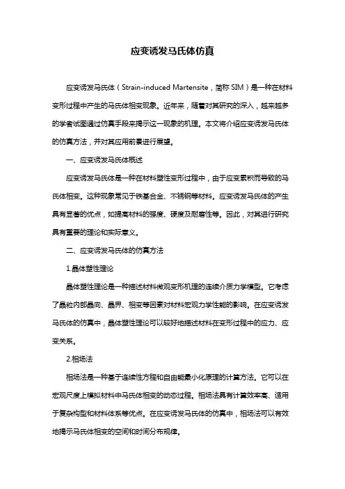 应变诱发马氏体仿真