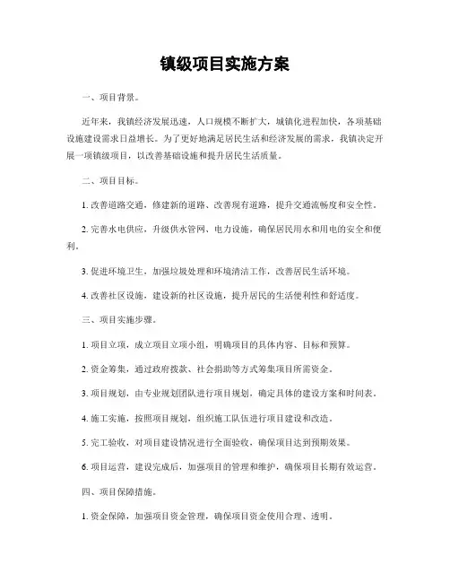 镇级项目实施方案