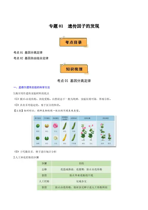 专题01 遗传因子的发现(知识梳理)-2024年高中生物学业水平考试必备考点归纳与测试