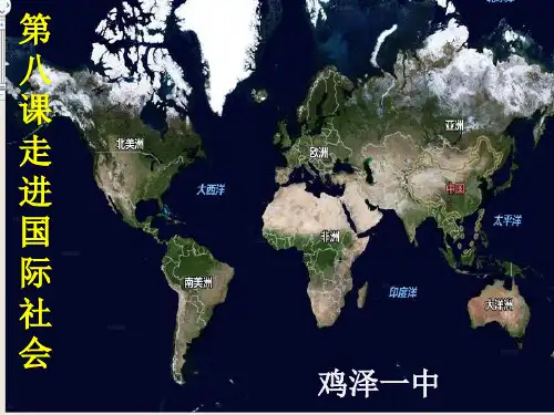 新人教版高中政治走进国际社会PPT精品推荐