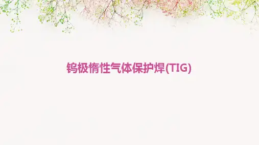 钨极惰性气体保护焊(TIG)
