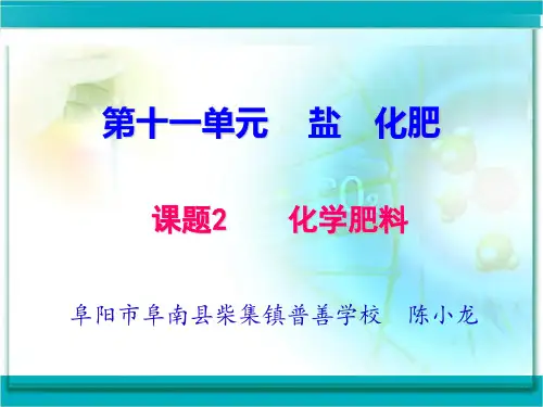 人教版初中化学九年级上册 11.2 化学肥料(19 张PPT)(共19张PPT)