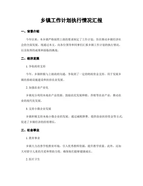 乡镇工作计划执行情况汇报