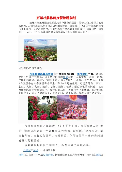 百里杜鹃休闲度假旅游规划3