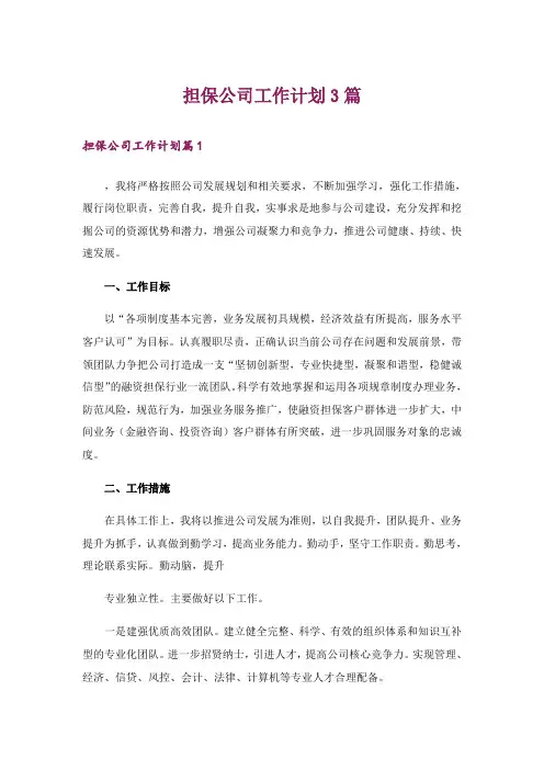 担保公司工作计划3篇