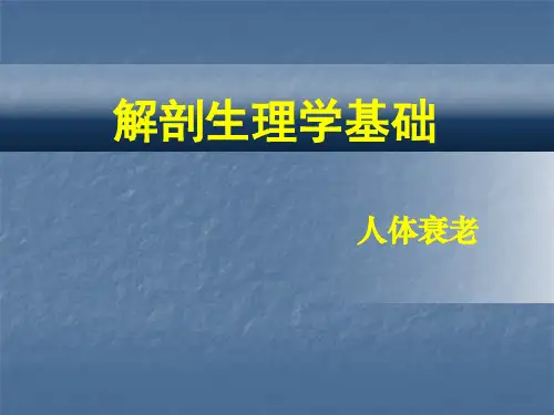人体衰老PPT课件