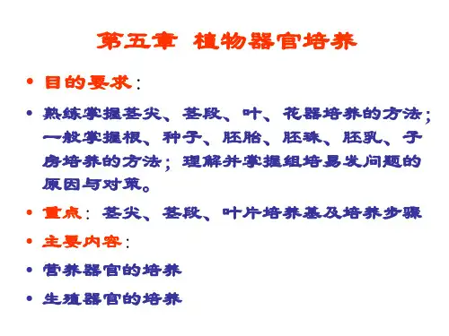 7第七章 植物的器官培养