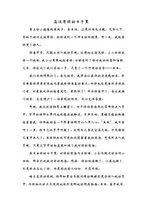 在没有你的日子里
