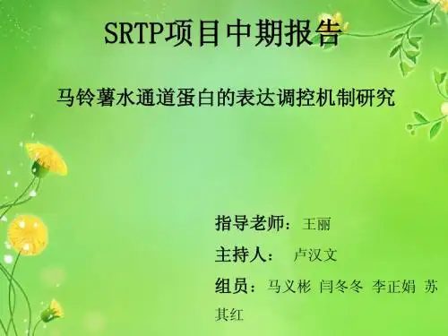 SRTP项目中期报告完整版