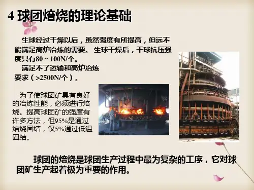 球团理论和工艺球团焙烧理论基础