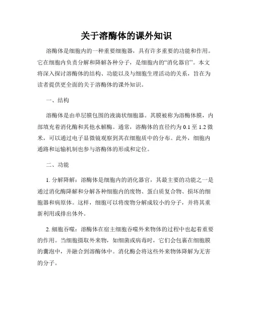 关于溶酶体的课外知识