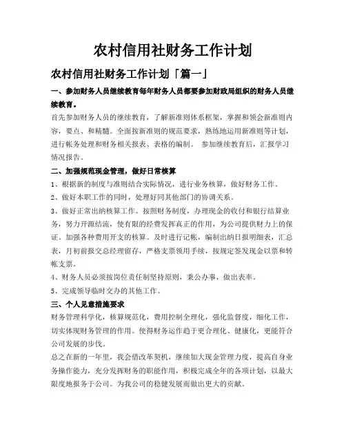 农村信用社财务工作计划