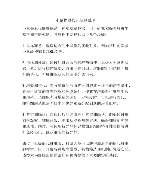小鼠提原代肝细胞原理