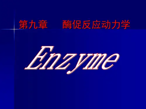 酶促动力学