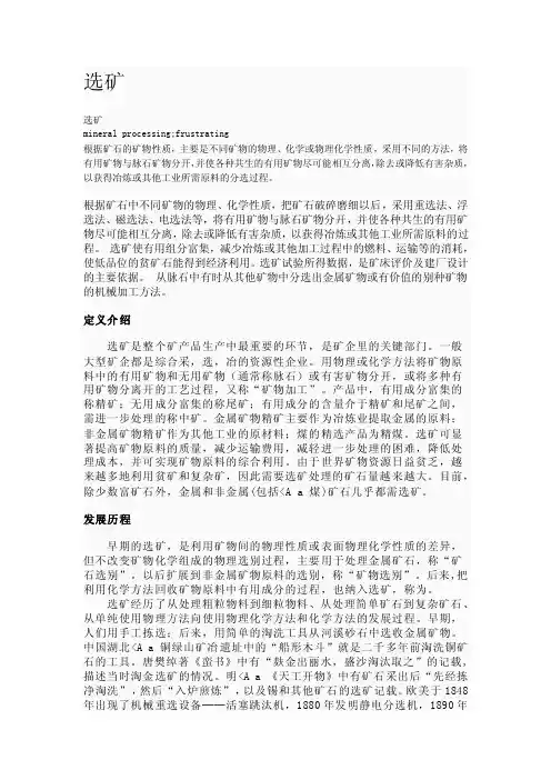 选矿概论.doc