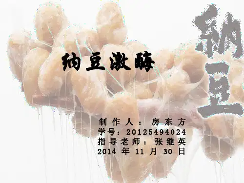 纳豆激酶