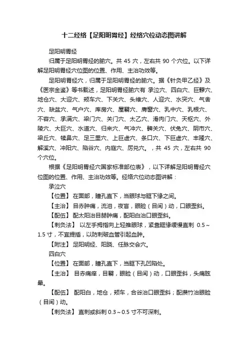 十二经络【足阳明胃经】经络穴位动态图讲解