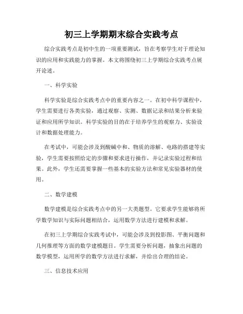初三上学期期末综合实践考点