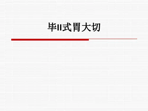 毕II式胃大切ppt课件