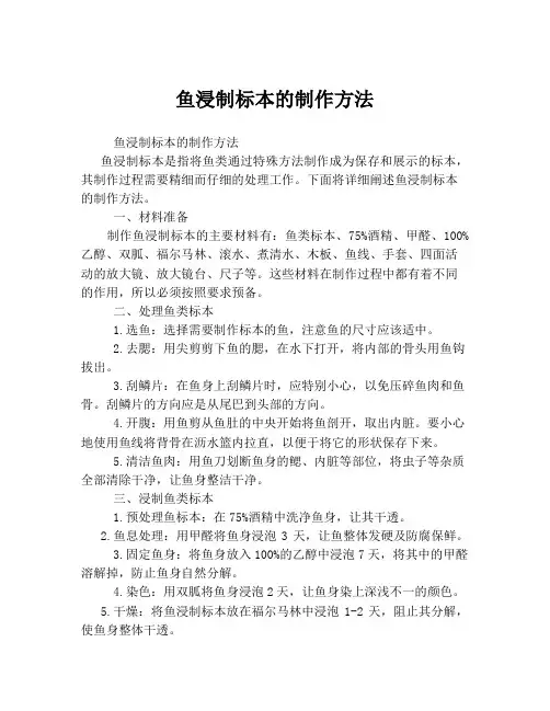 鱼浸制标本的制作方法