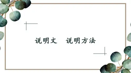 高教版中职语文基础模块上册《说明文——说明方法》课件