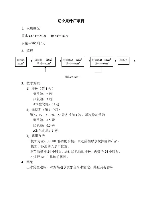 污水处理案例-系列2