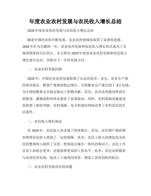 年度农业农村发展与农民收入增长总结