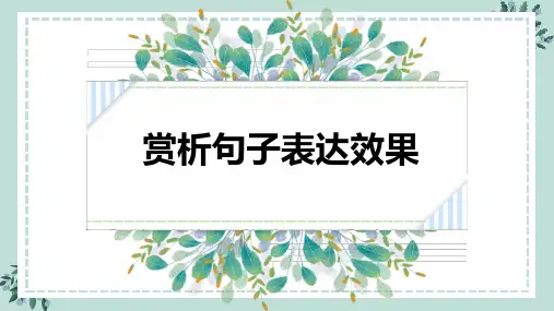 高考语文复习：赏析句子表达效果课件