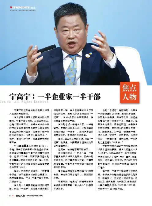 宁高宁：一半企业家一半干部