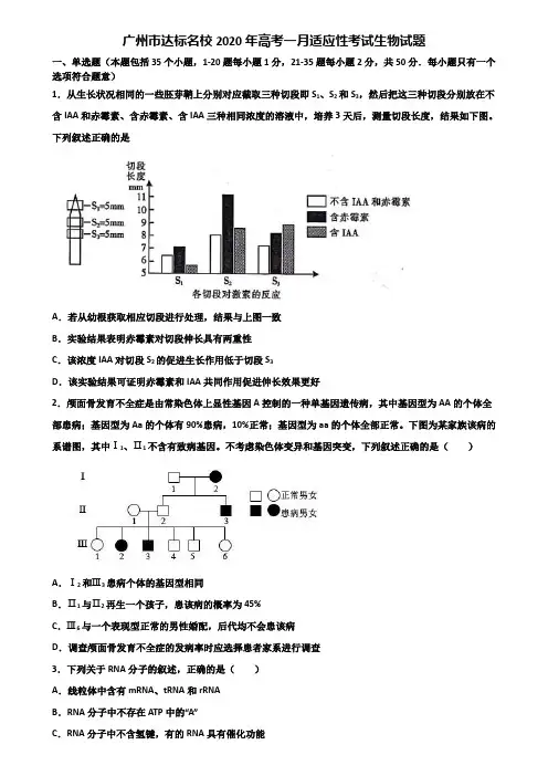 广州市达标名校2020年高考一月适应性考试生物试题含解析