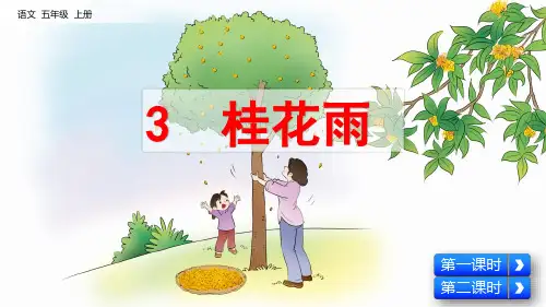 部编版小学五年级语文上册第3课《桂花雨》优秀课件