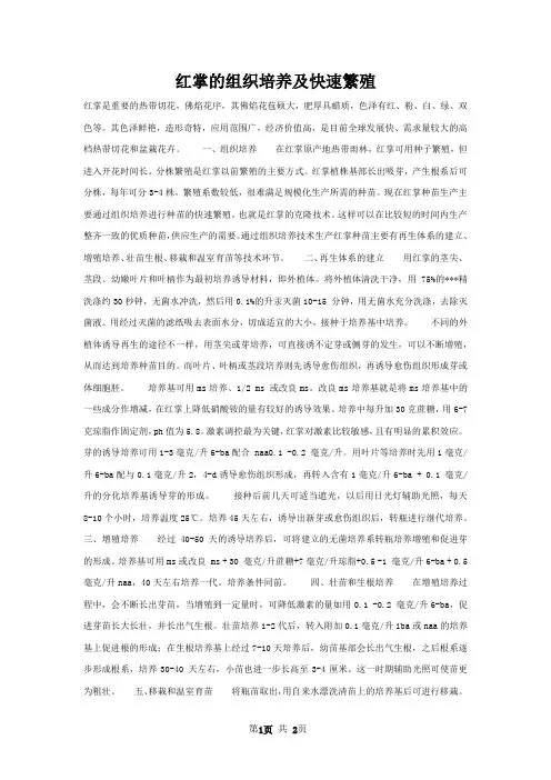 红掌的组织培养及快速繁殖