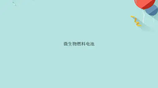 微生物燃料电池PPT[优选版]