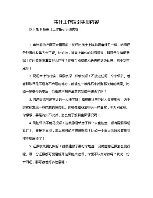 审计工作指引手册内容