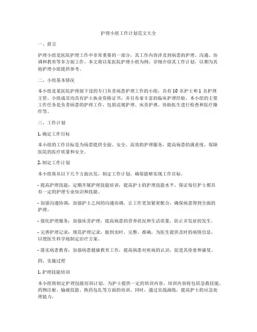 护理小组工作计划范文大全