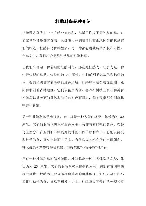 杜鹃科鸟品种介绍